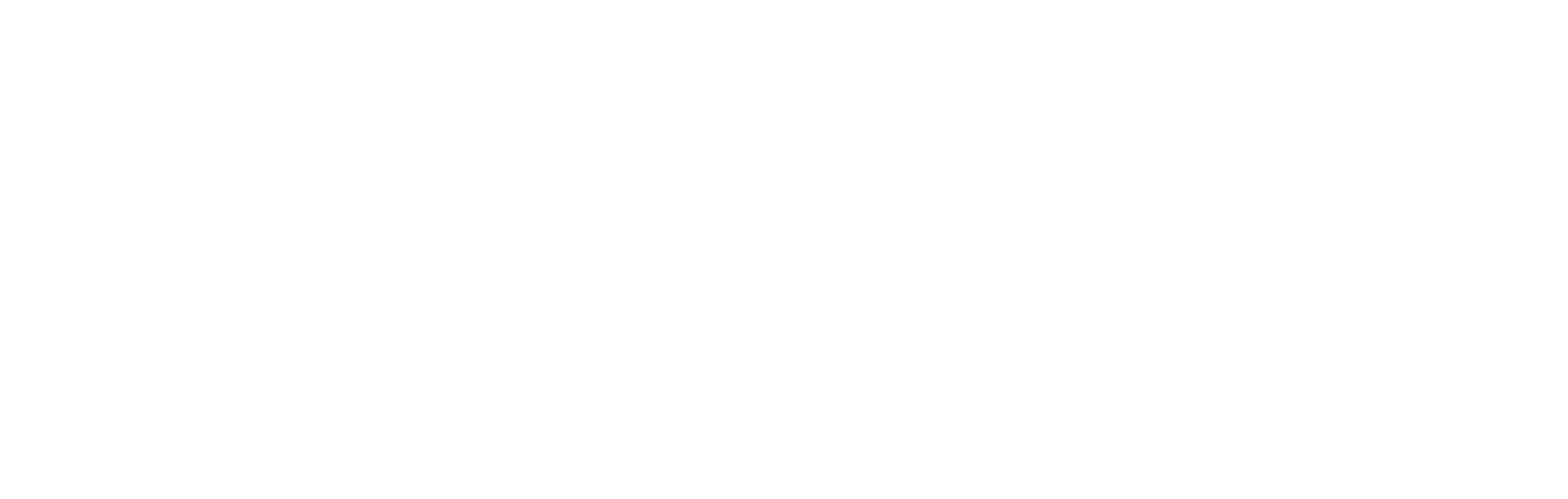 Nibav Home Lifts United States Logo White